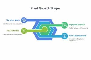 The Gardening 3-Year Rule: Letting Plants Rest for Better Growth