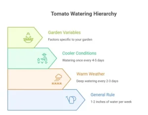 How Often to Water Tomato Plants: The Complete Grower's Guide
